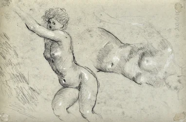 Studio di donne