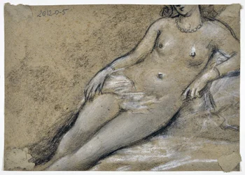 Studio di ragazza nuda