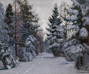 Tracce nella neve