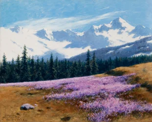Crocus con montagne innevate sullo sfondo