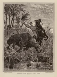 Caccia al rinoceronte in Africa