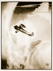 Met. flight, illustrazione da 