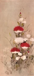 Papaveri, grano e fiori di natane