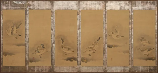 Oche selvatiche, periodo Momoyama o Edo, 1568-1640