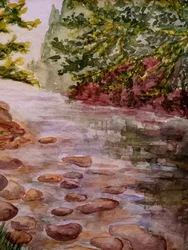 Nel bosco - Ruscello