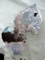 Alberi invernali astratti