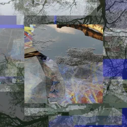 Riflesso di un albero frammentato