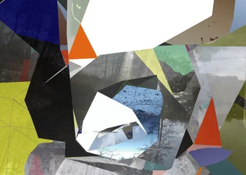 Collage geometrico sulla natura