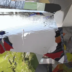 Collage astratto "Cigno bianco"