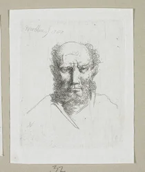 Testa di vecchio