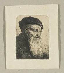 Testa di un uomo in profilo a tre quarti