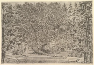 Un grande albero abitato al centro con rampe che girano intorno al tronco, sotto un sentiero di pietra..., ca. 1653
