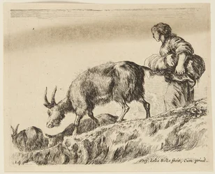 Capre (Animali diversi, 14)