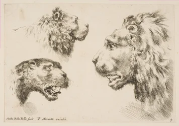 Teste di tre leoni, ca. 1641