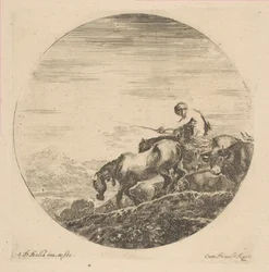 Mandriano a Cavallo Guida Animali