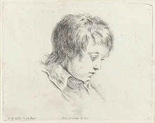 Testa di un giovane che guarda in basso a destra (De beginselen van het tekenen, I principii del disegno)