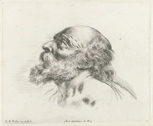 Testa di un vecchio calvo con barba, di profilo a sinistra (possibilmente San Pietro)