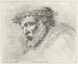 Testa di un vecchio con barba e corona d