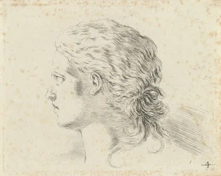 Testa di donna, di profilo verso sinistra