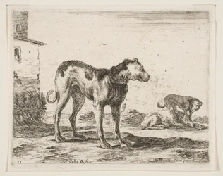 Tavola 11: cani, da Vari animali, ca. 1641