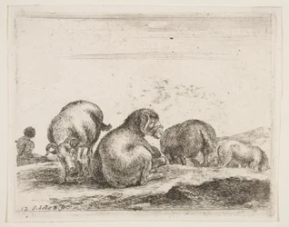 Pecore e ariete in un pascolo, da Diversi animali