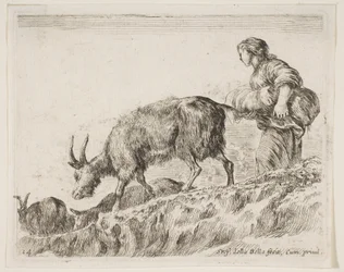 Tavola 14: pastorella che guida le capre, da Vari animali