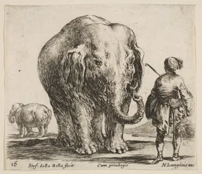 Tavola 16: un elefante al centro, il suo mahout in piedi a destra con un copricapo orientale, ca. 1644-47