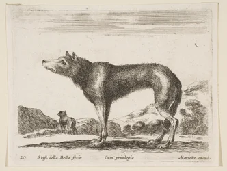 Tavola 20: lupo, da Diversi animali