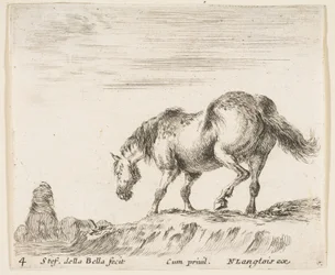 Tavola 4: un cavallo di profilo rivolto a sinistra, in procinto di scendere da un tumulo, un cavallo..., ca. 1644-47