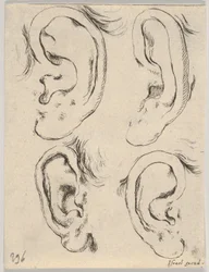 Tavola 5: quattro orecchie, da Il libro per imparare a disegnare, ca. 1649
