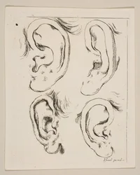 Tavola 5: quattro orecchie, da Il Libro per Imparare a Disegnare, ca. 1649