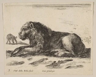 Tavola 5: leone sdraiato, da Vari animali Diversi animali, ca. 1641