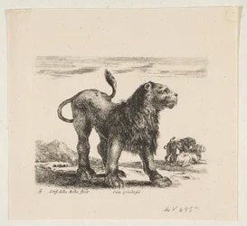 Tavola 6: leone, da 