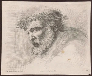 Studio della testa di un vecchio barbuto con corona d