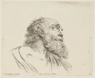 Study (I principii del disegno, 19)