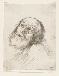 Testa di San Pietro penitente