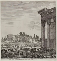 Il Tempio di Antonino e il Campo Vaccino
