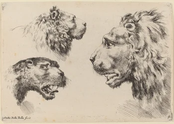 Tre teste di leone