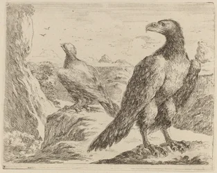 Due aquile, entrambe con la testa girata a sinistra