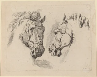 Due teste di cavallo, probabilmente 1649