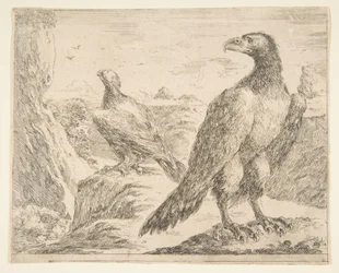 Due aquile, da Aquile Les aigles, ca. 1651