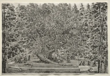 Vedute della Villa di Pratolino: l