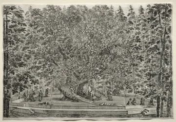 Vedute della Villa di Pratolino: L