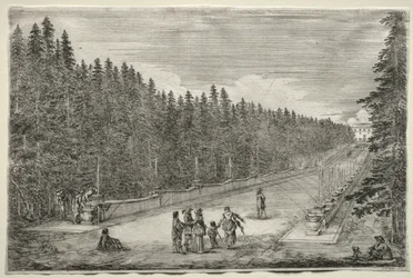 Vedute della Villa di Pratolino: La Passeggiata delle Fontane