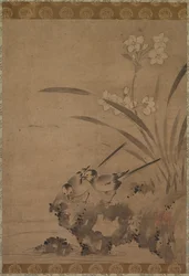 Ballerine e narcisi