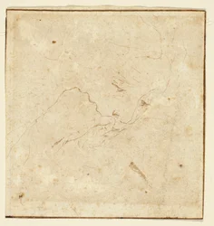 Testa di donna