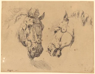 Due teste di cavallo
