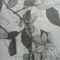 Botanica, 2014 (digitale)
