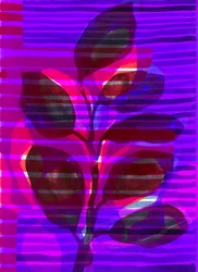 Striscia botanica I, 2018 (digitale)