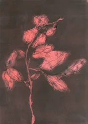 Fogliame I, 2015 (monoprint su carta)